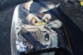 /album/carage/img-3403-jpg/